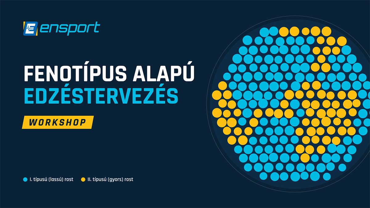 fenotipus-workshop-cover